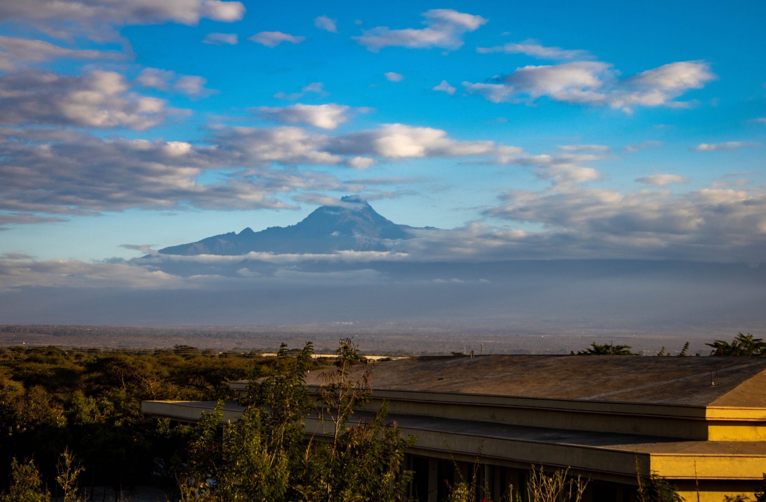 WHAT YOU THINK ABOUT US