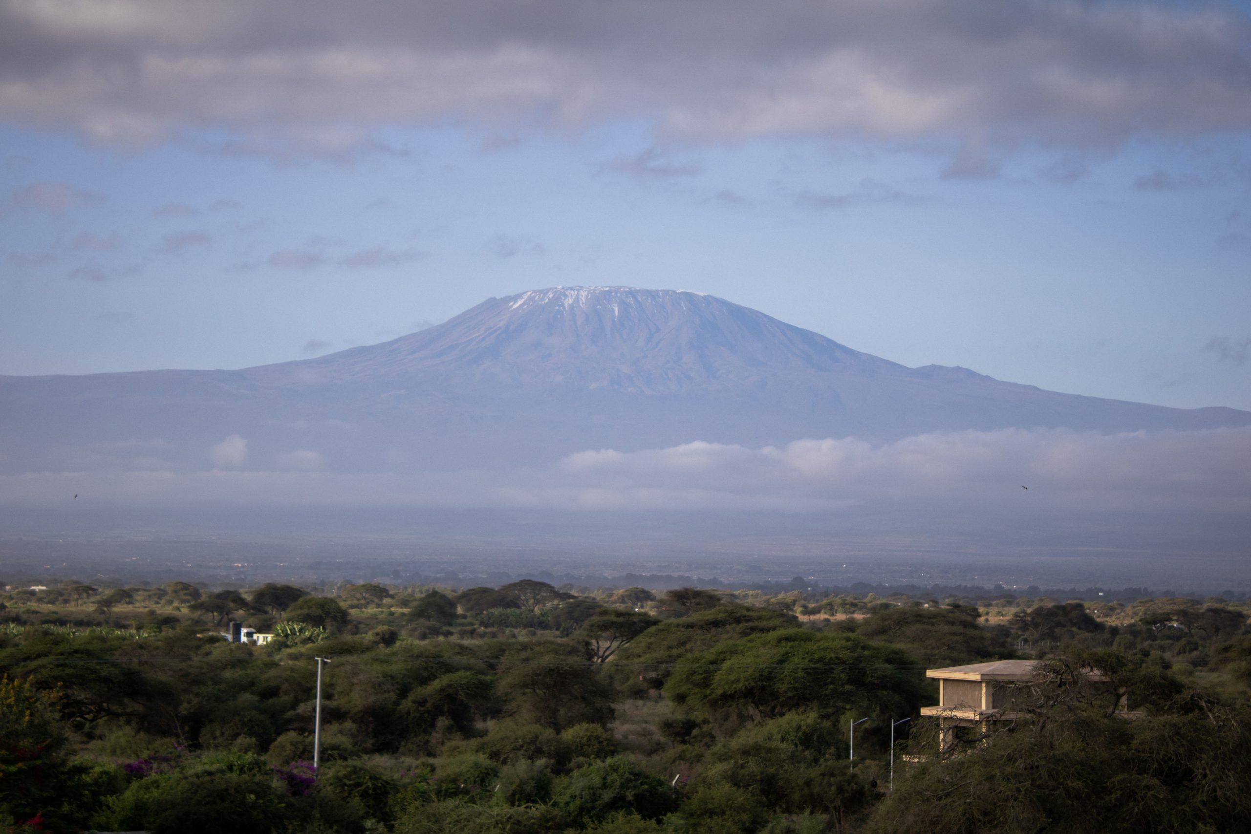 Scenic landscape view of Mount Kilimanjaro rising above cloud layers and green acacia trees in Amboseli.
